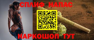 индика Дубна
