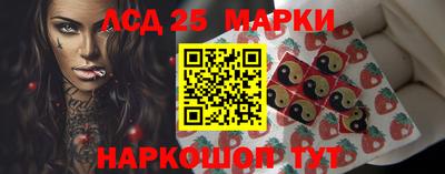 индика Дубна
