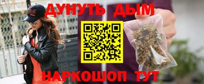 индика Дубна