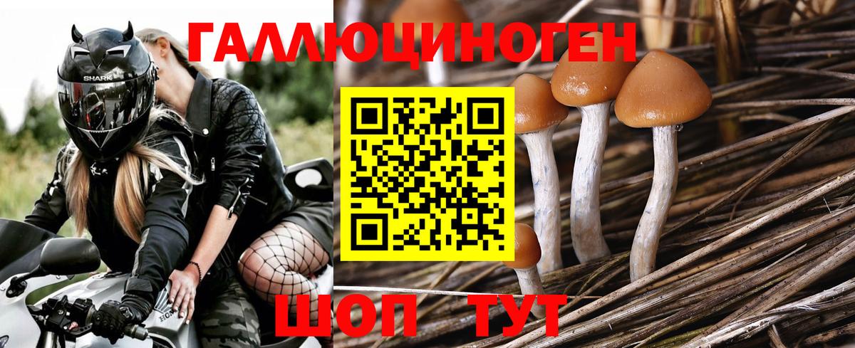 Галлюциногенные грибы Magic Shrooms Мичуринск